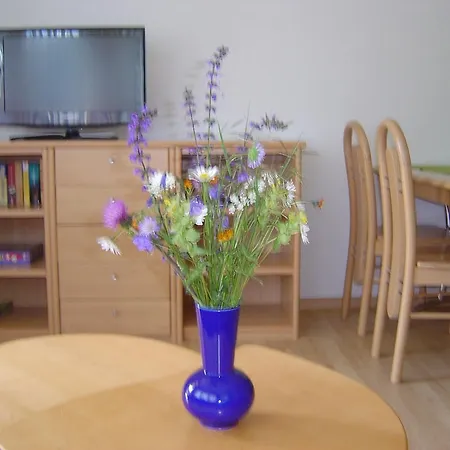 Haus Le Mirage 萨斯费